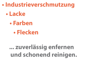 Spezialreinigung